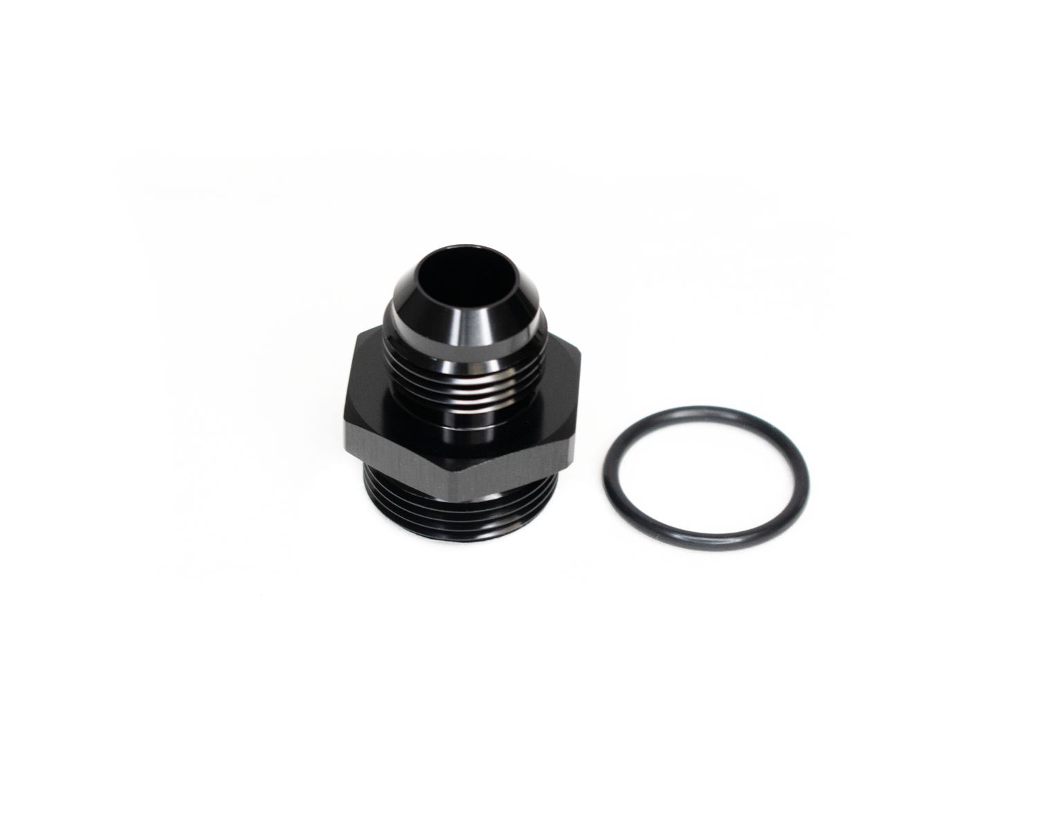 ADPT-02-019