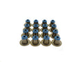 VS MOD 2V KIT